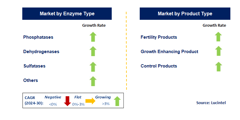 Agricultural Enzymes by Segment